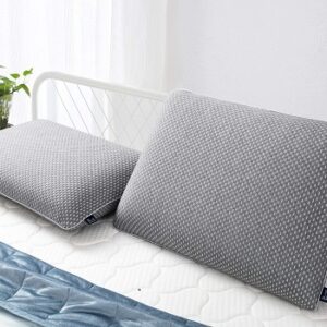Bamboo Charcoal Pillows