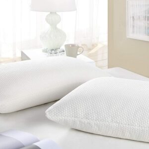 Bamboo Hypoallergenic Pillows