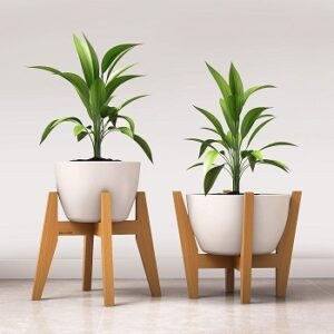Bamboo Plant Stands