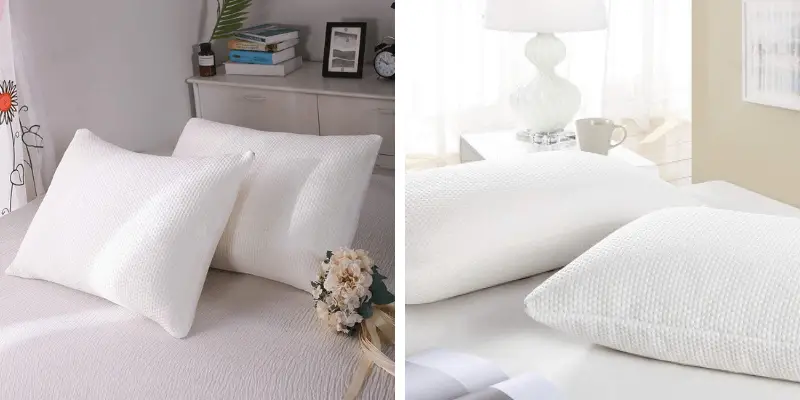Best Bamboo Memory Foam Pillows
