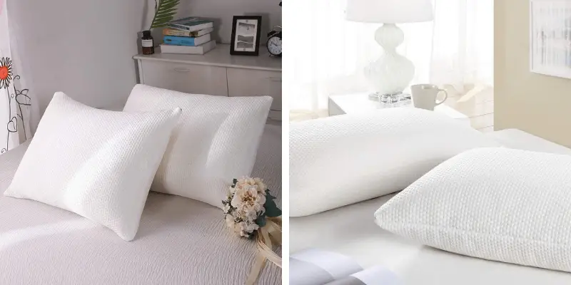 Best Bamboo Memory Foam Pillows (1)