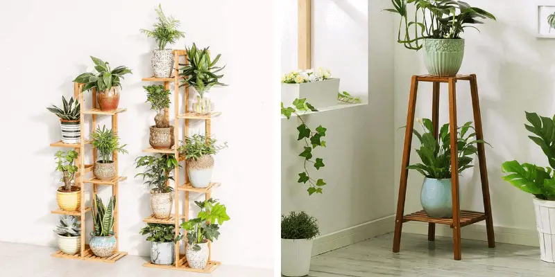 Best Bamboo Plant Stands