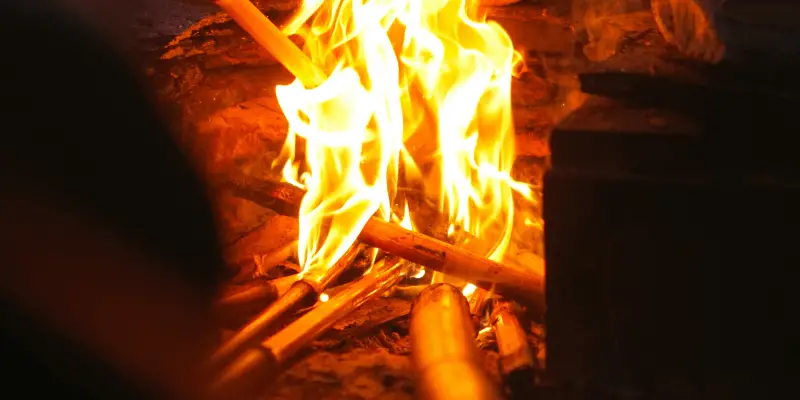 Can You Burn Bamboo? Is Bamboo Good Firewood?