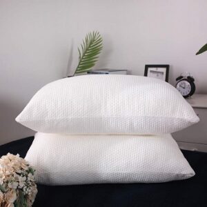 Queen Size Bamboo Pillows