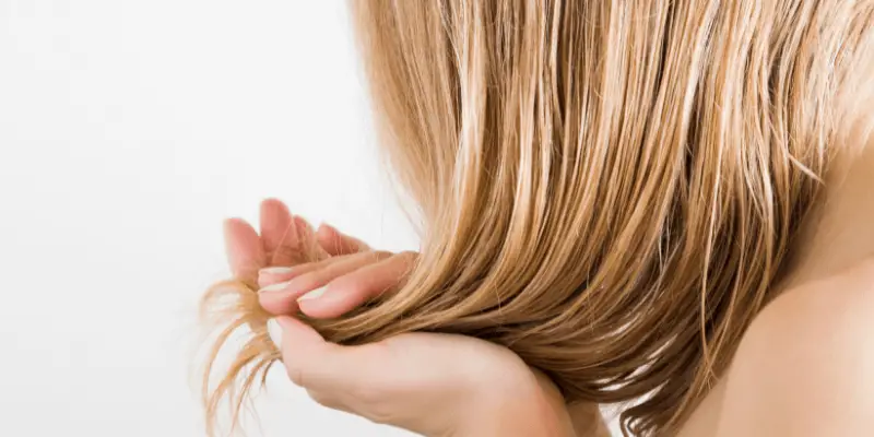 How Bamboo Fibers Prevent Hair Loss and Help Regrow Hair